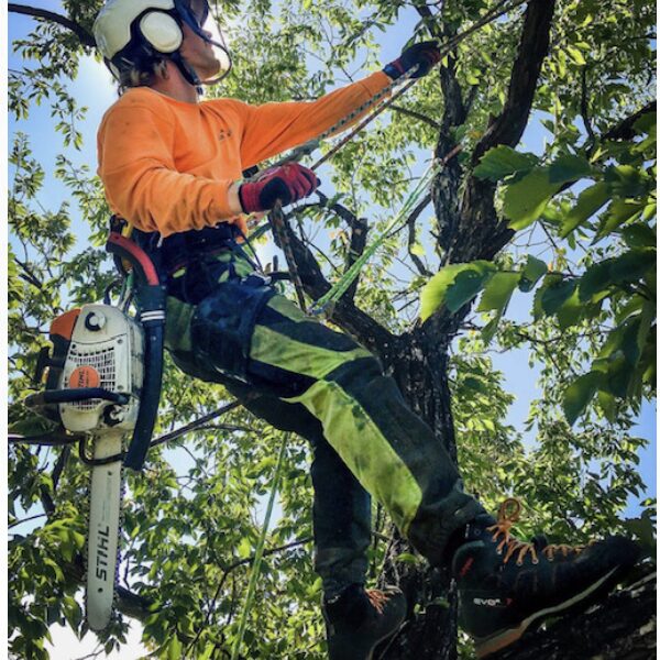 Blue River Forestry & Tree Care