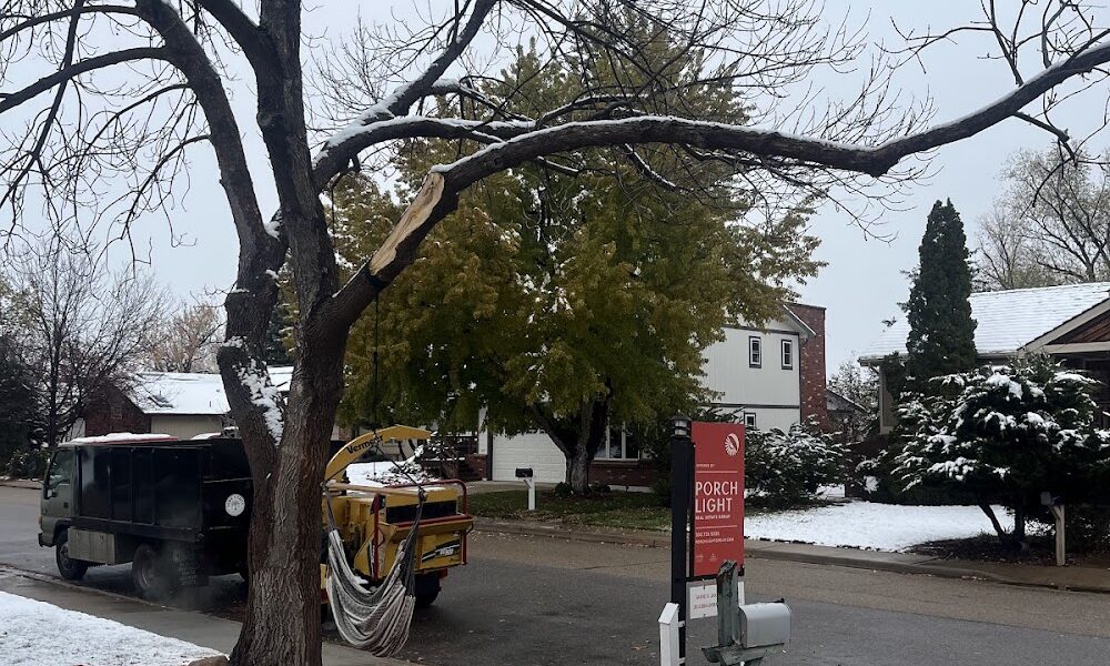 Down to Earth Tree Service and Science