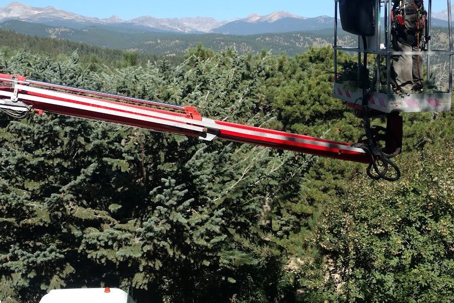 Geesaman Tree Company LLC