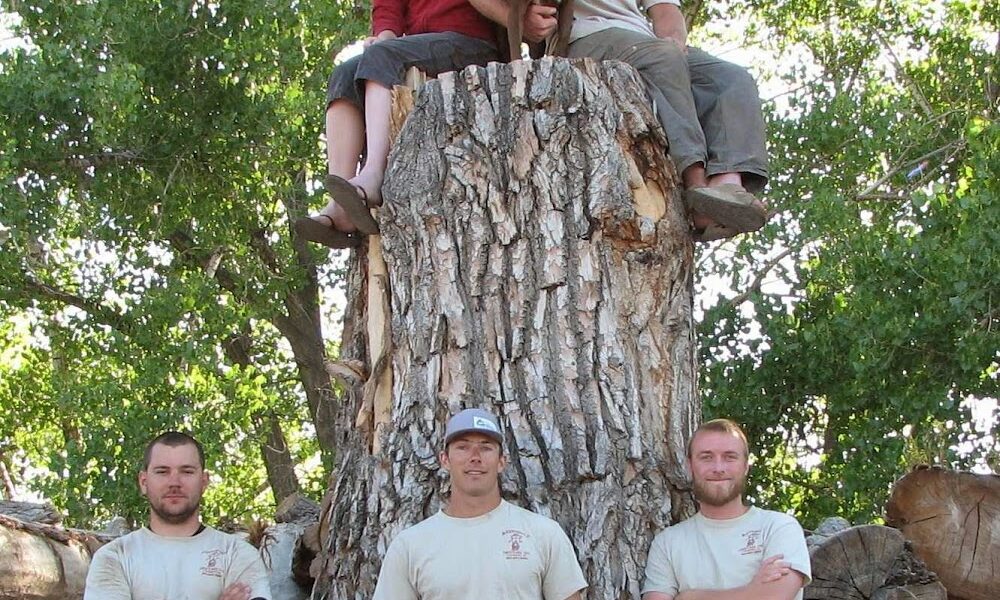 Reinholt Tree Care, Inc.