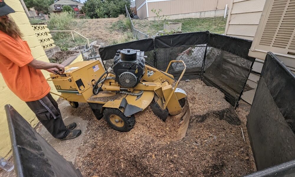A-1 Stump Removal Service, LLC