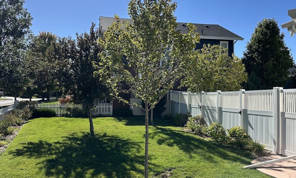 Bullard Tree and Garden