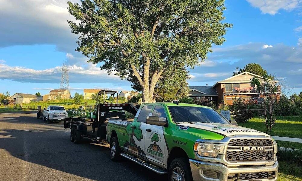 Creative Tree & Stump LLC