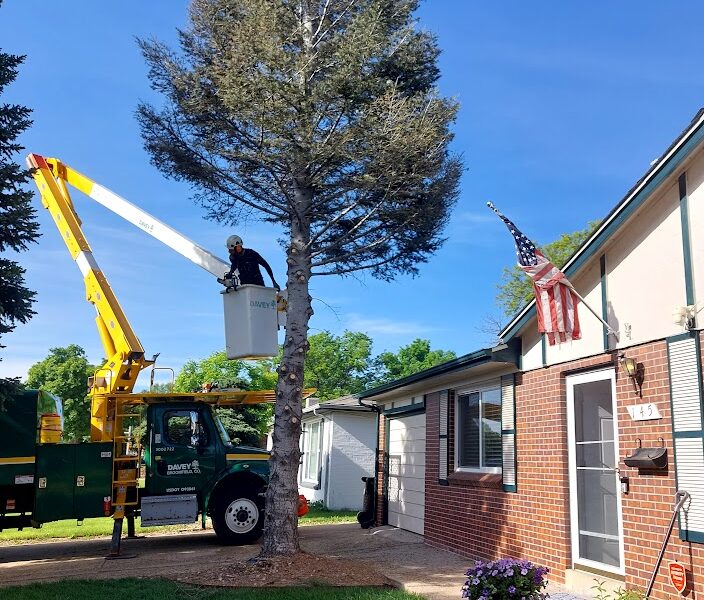 The Davey Tree Expert Company