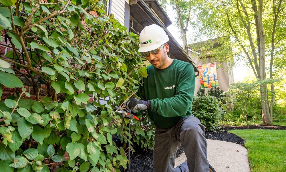 The Davey Tree Expert Company