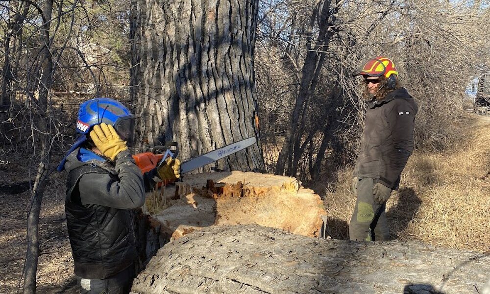 Arborist Prime LLC