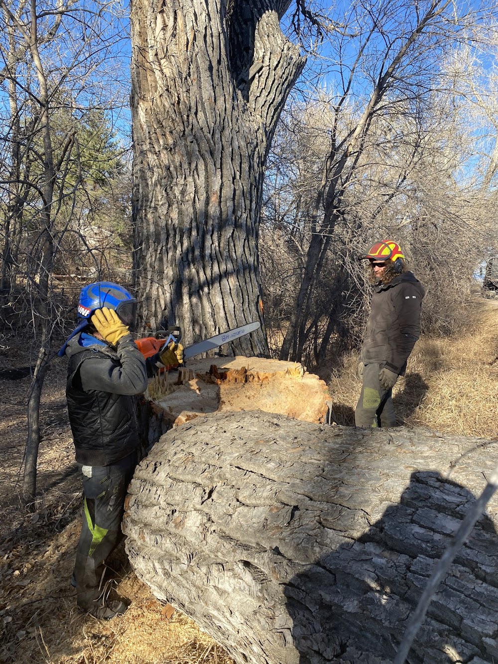 Arborist Prime LLC