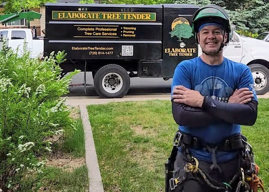 Elaborate Tree Tender