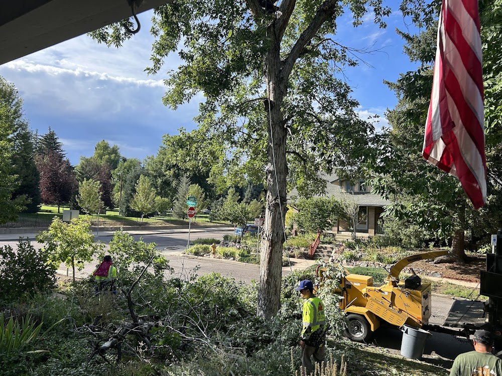 LCM Tree Services LLC