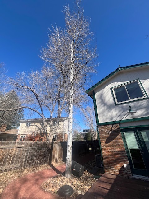 Reinholt Tree Care